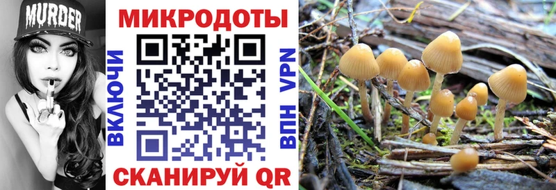 купить наркоту  Омск  Галлюциногенные грибы Cubensis 