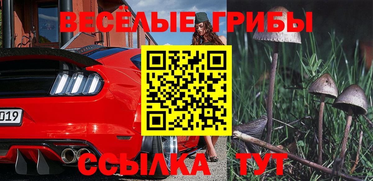 Омск  Псилоцибиновые грибы ЛСД  Галлюциногенные грибы прущие грибы  Вход с VPN 