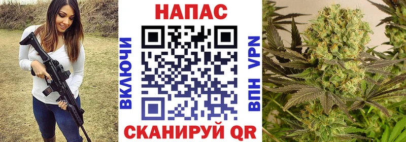 купить  сайты  Омск  Шишки марихуана семена 